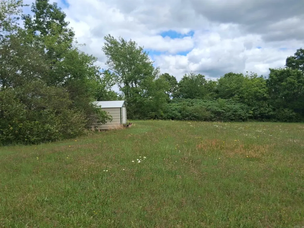 Picture 6