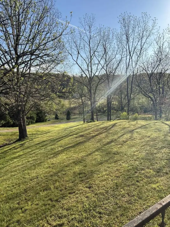 Picture 19