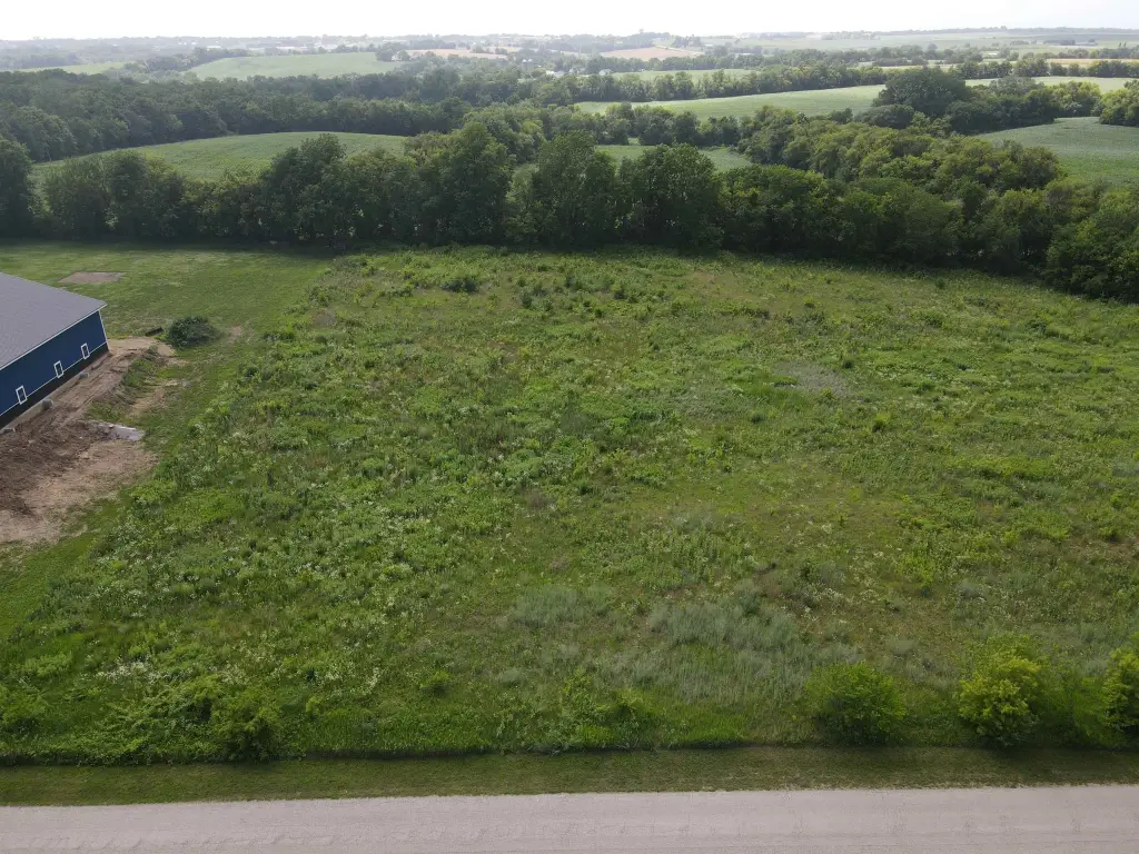 Picture 3