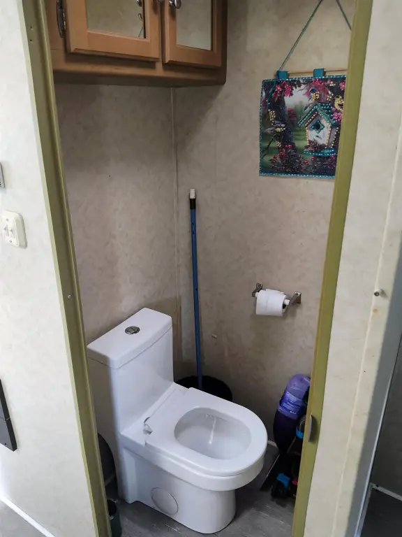 Picture 11