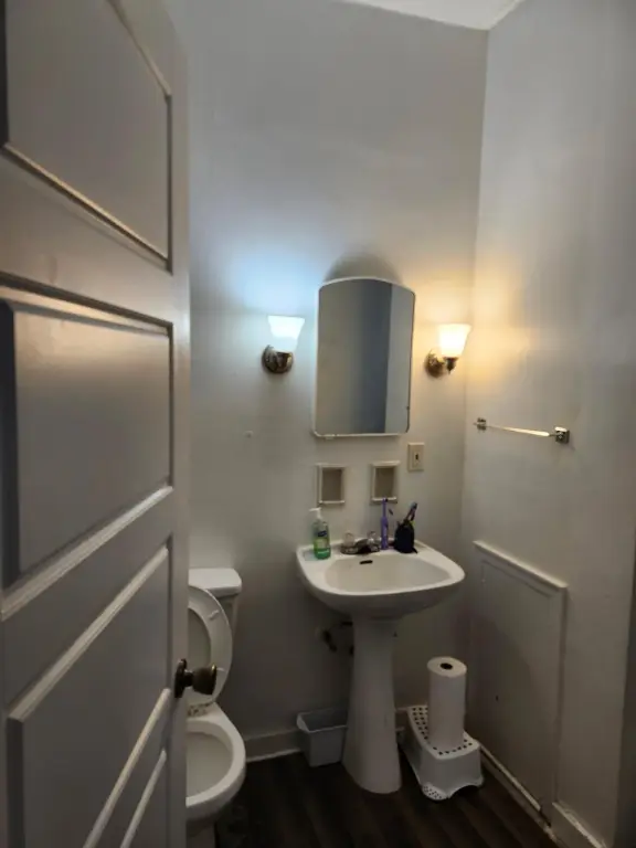 Picture 15