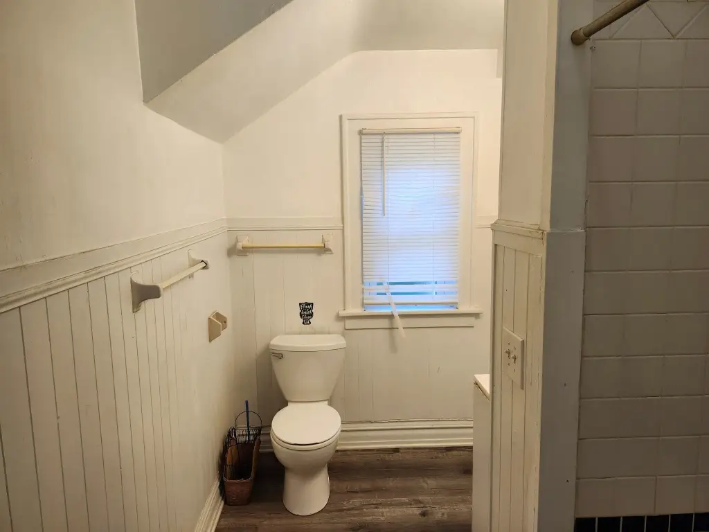 Picture 8