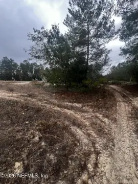 Satsuma, FL Cleared Land