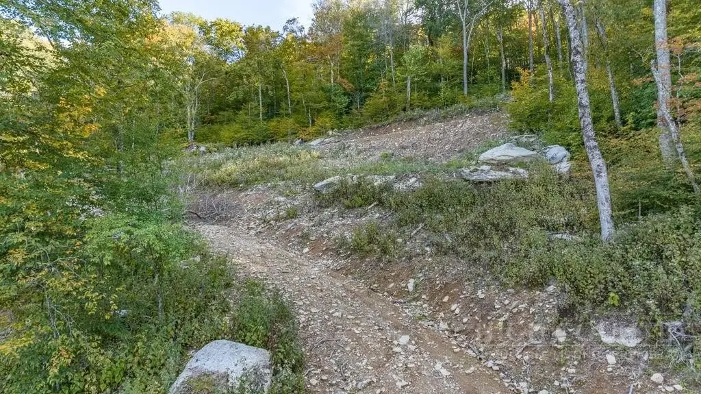 Picture 17