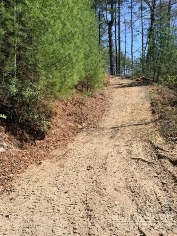 Picture 8