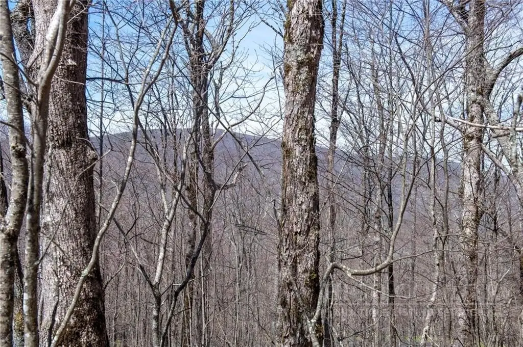 Picture 24