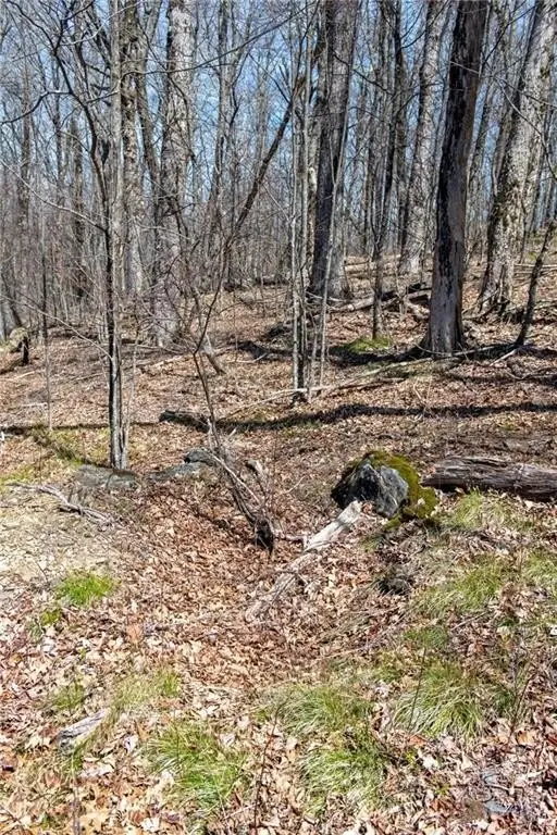 Picture 26