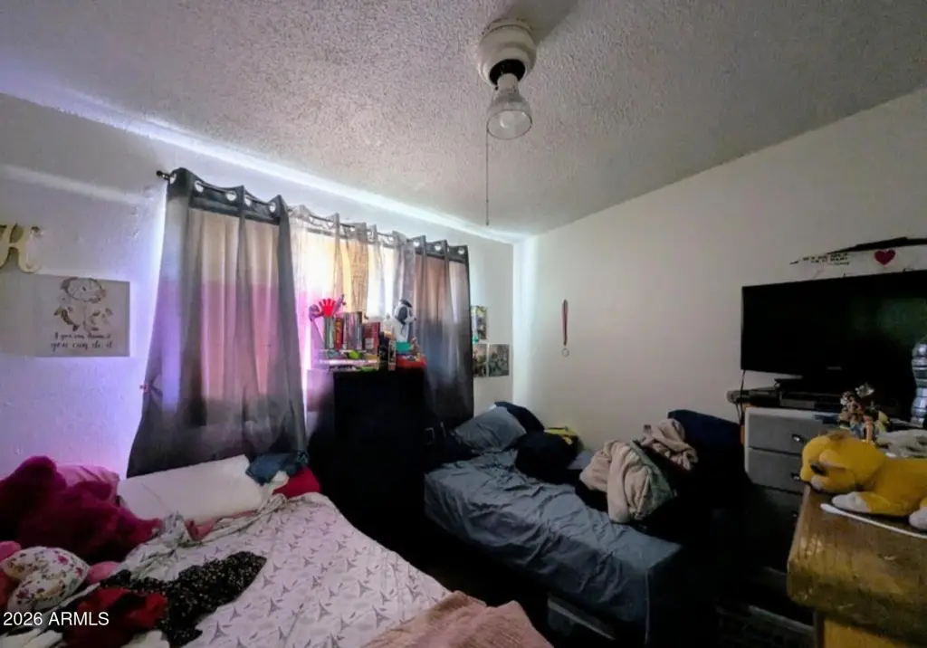 Picture 14