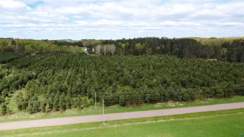 Wooded Recreational Land
