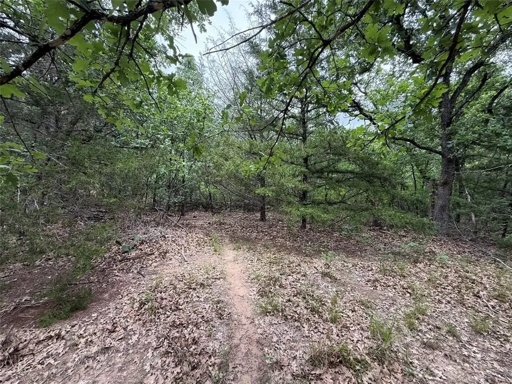 Picture 25