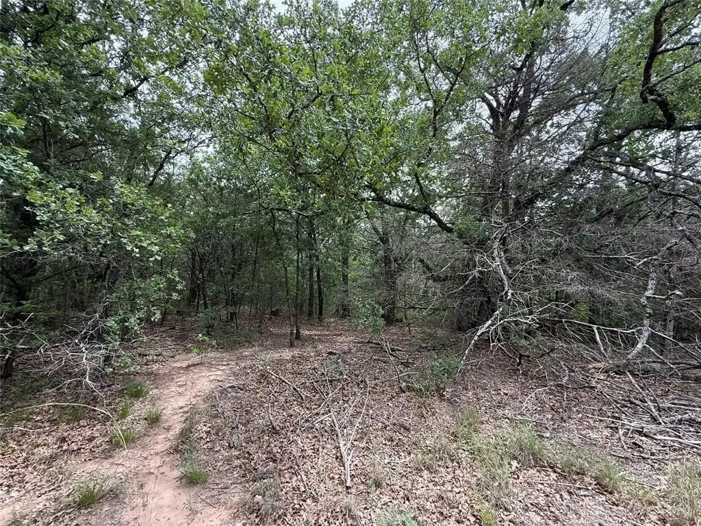 Picture 28