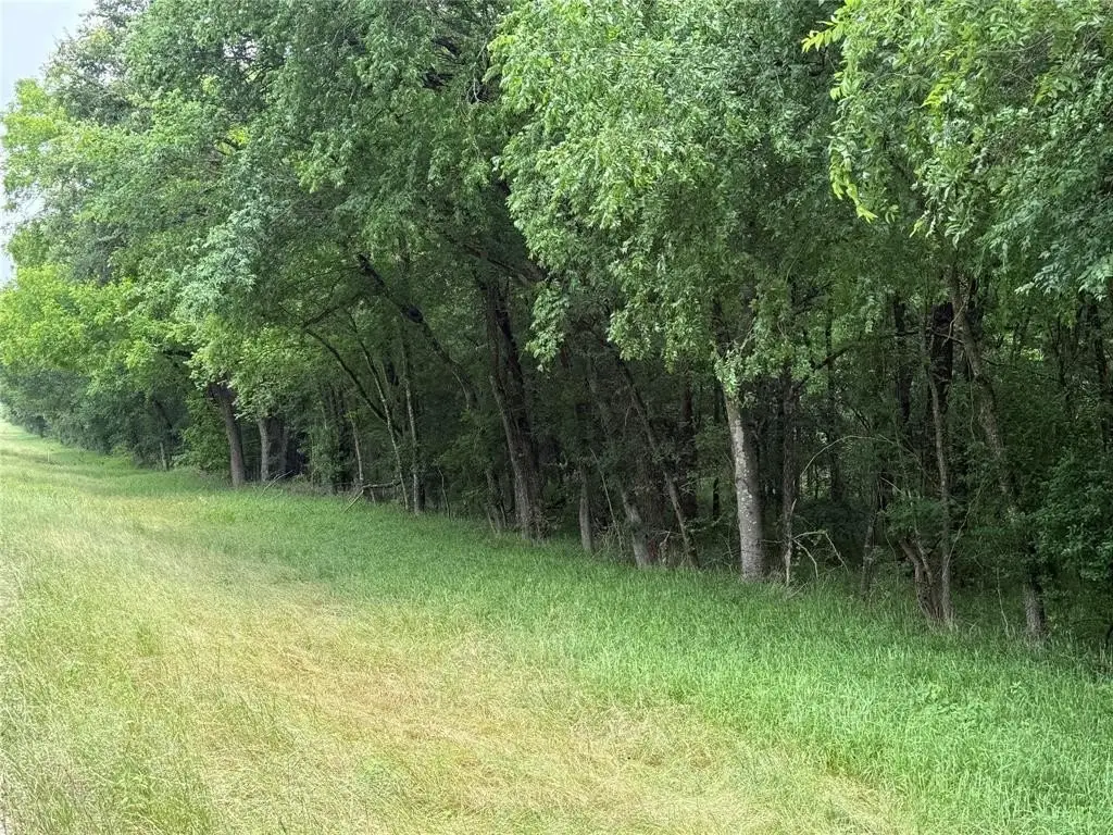 Picture 38