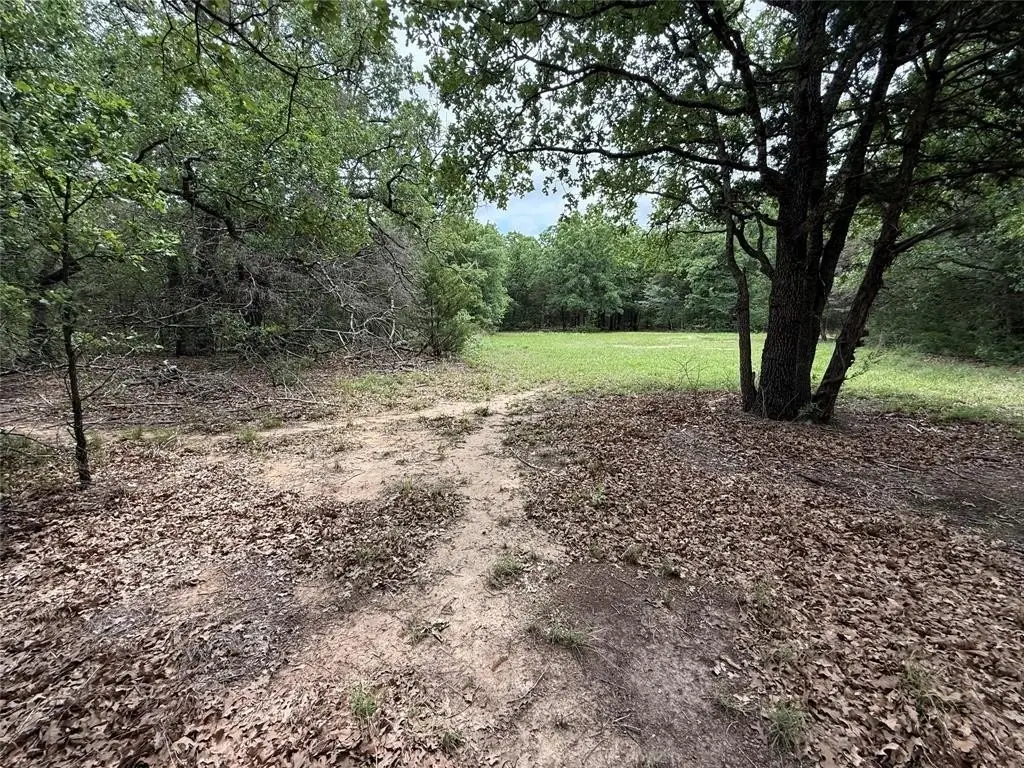 Picture 27