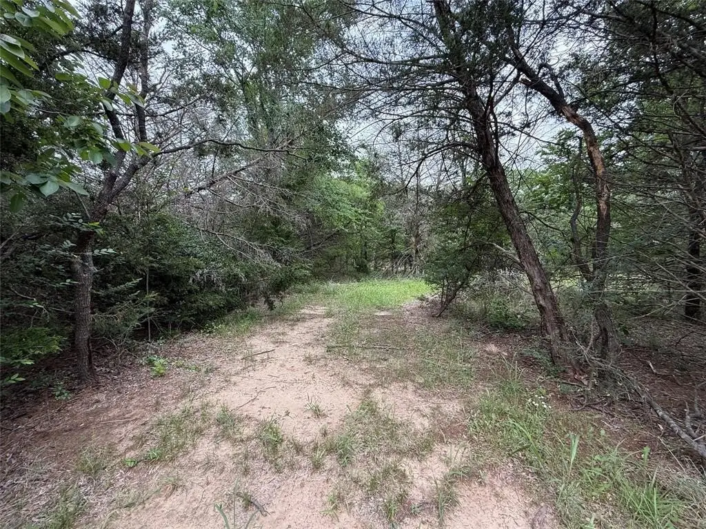 Picture 15