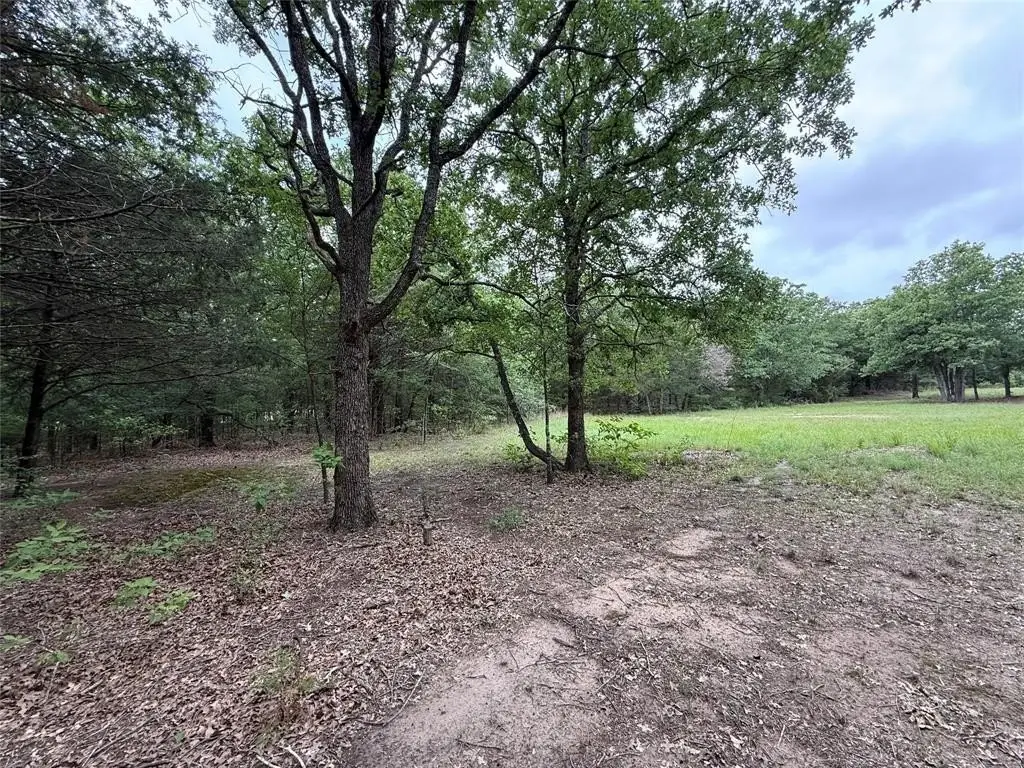 Picture 14