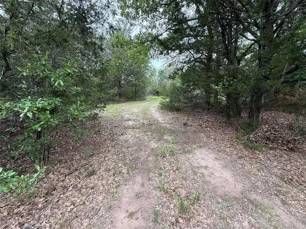Picture 18