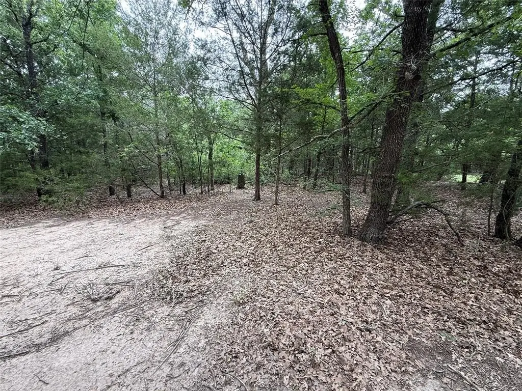 Picture 19