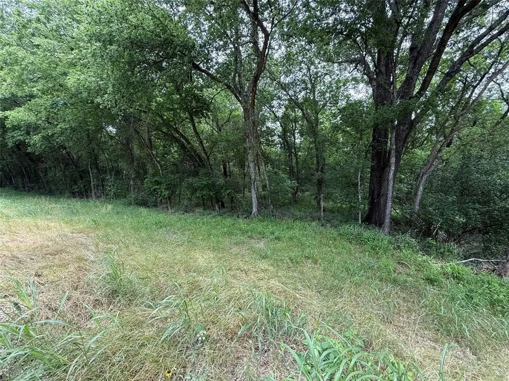 Picture 34