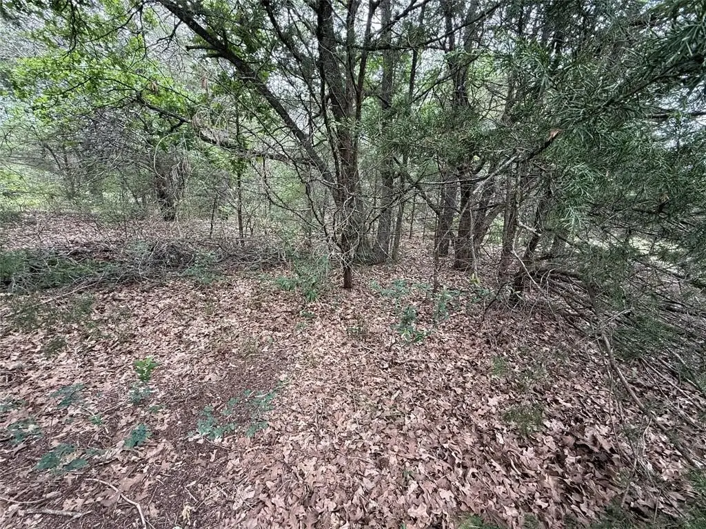 Picture 22