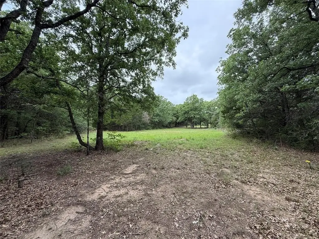 Picture 33