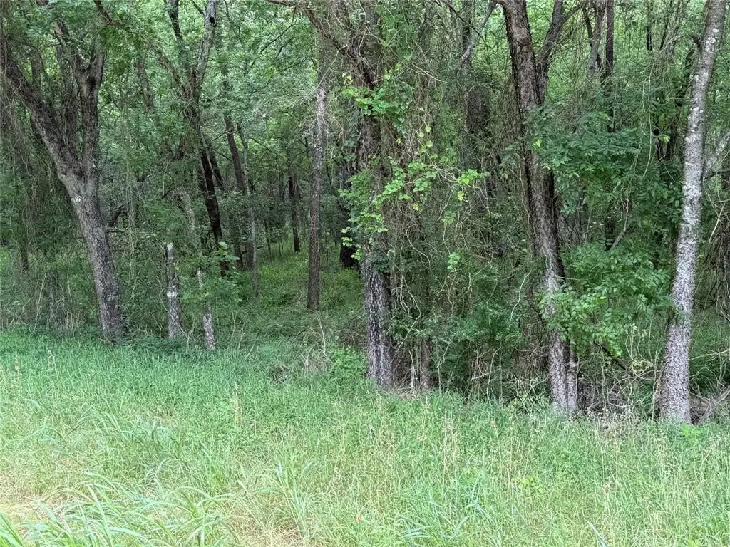 Picture 39