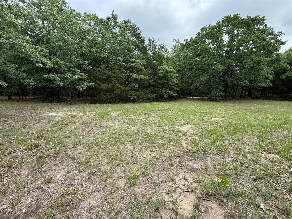 Picture 12