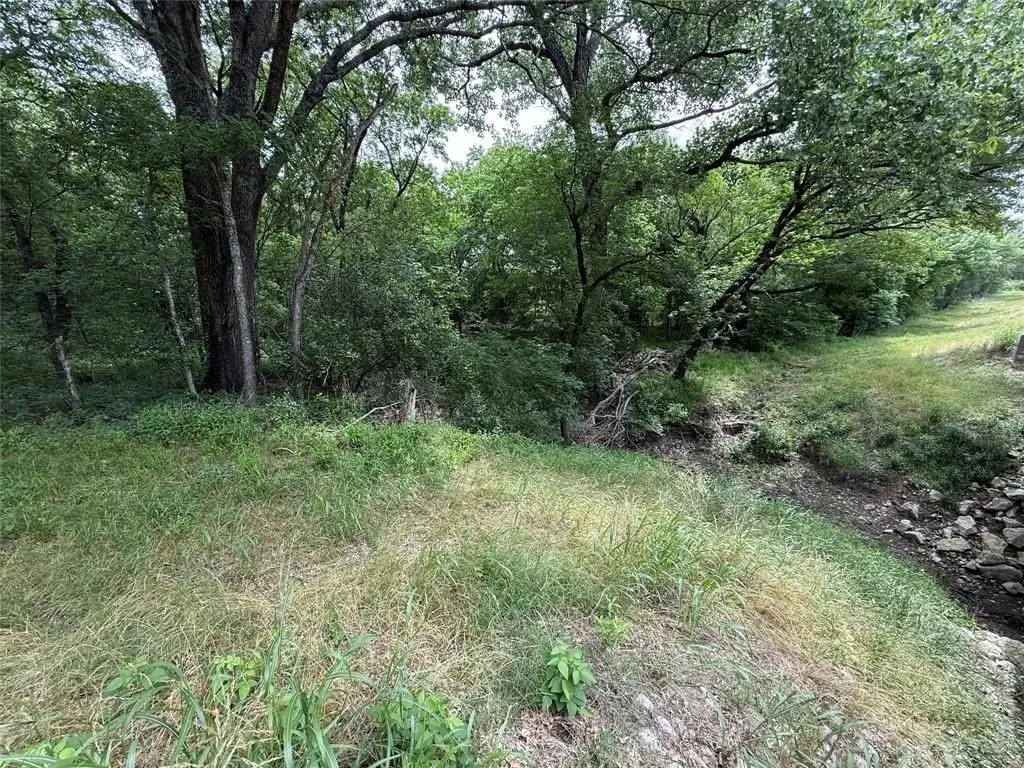 Picture 35
