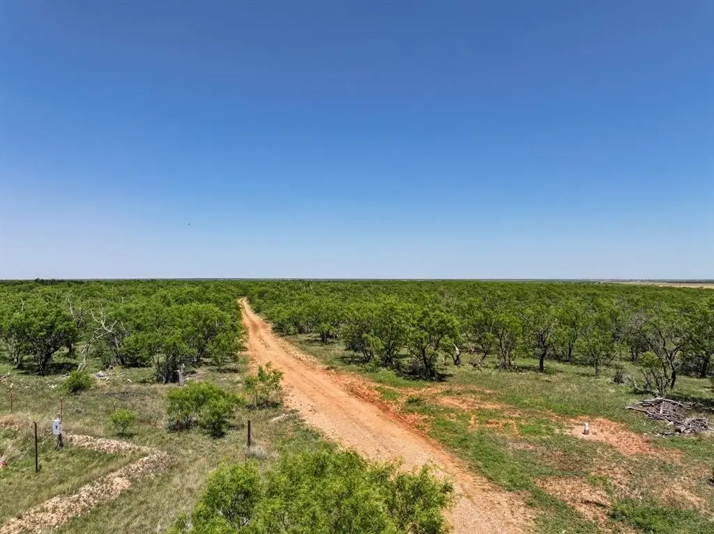 Picture 29