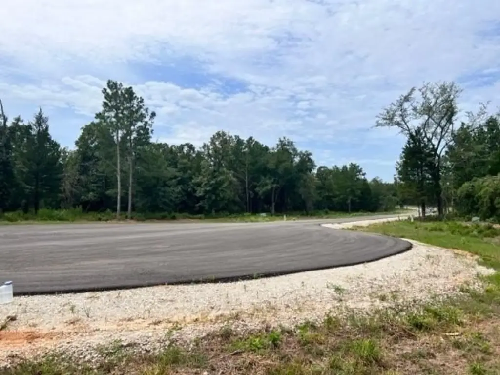 Picture 8