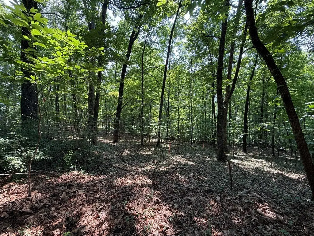 Picture 26