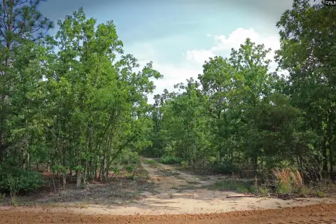 5 Acres Lightly Wooded Land