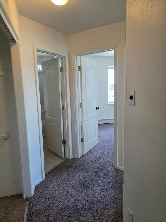 Picture 24