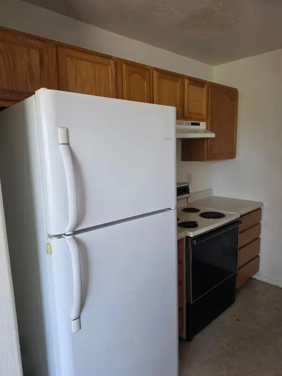 Picture 21