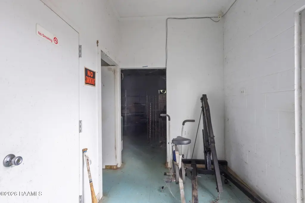 Picture 5