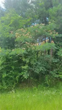 Residential Land in Tuskegee, AL