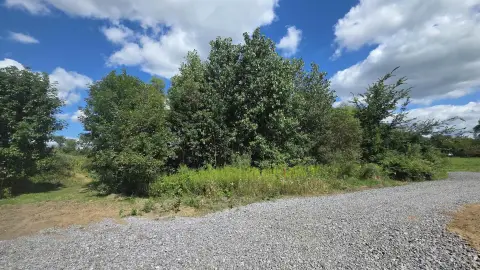 Residential Land Near Horseshoe Lake