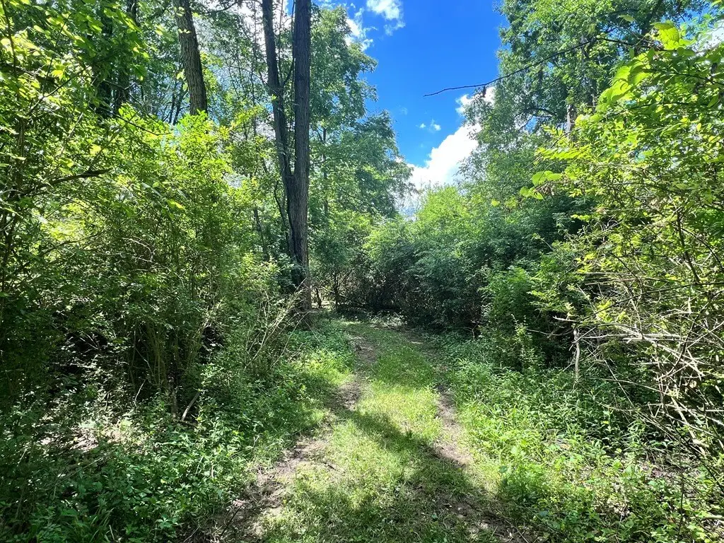 Picture 17