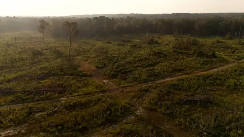 324 Acres of Hunting Land