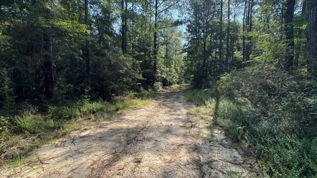Picture 19