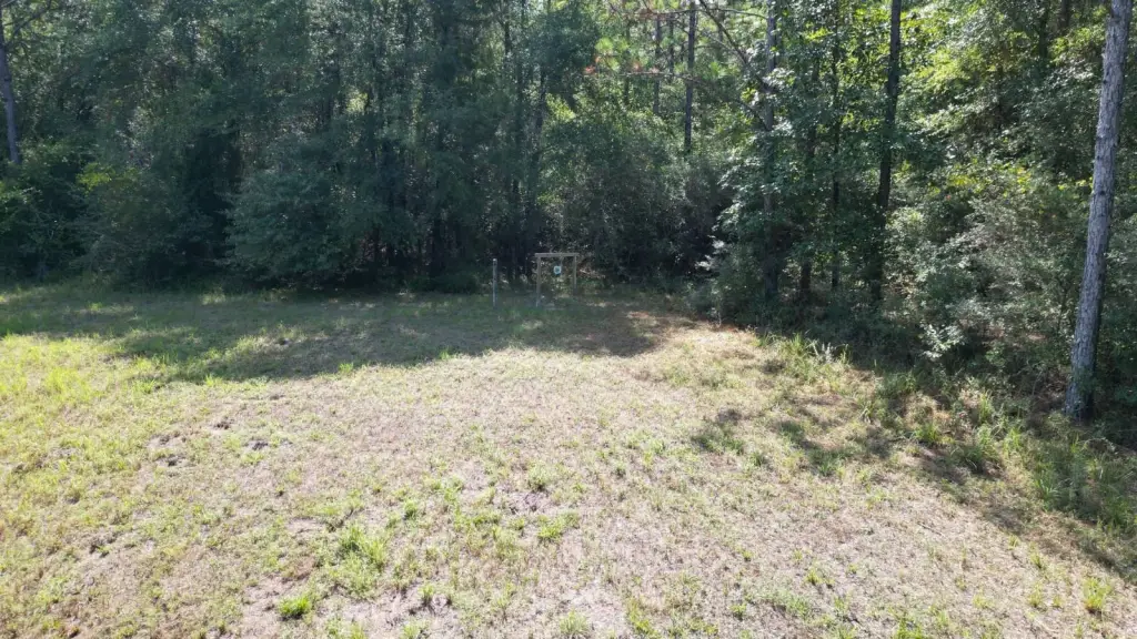 Picture 4