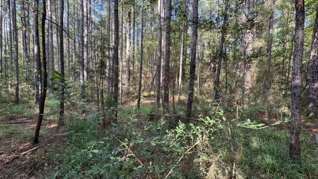 Picture 14