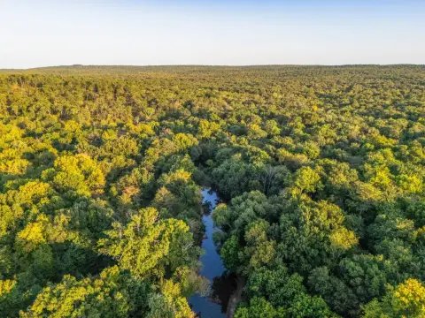 Hunting Land Along McGee Creek