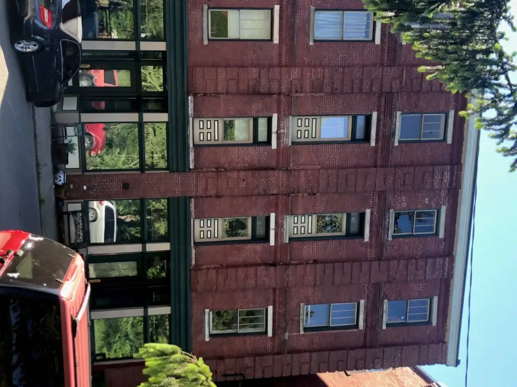 Picture 5