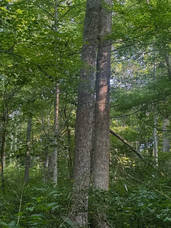 Picture 12
