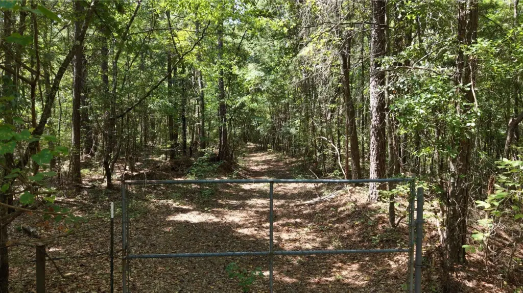 Picture 4