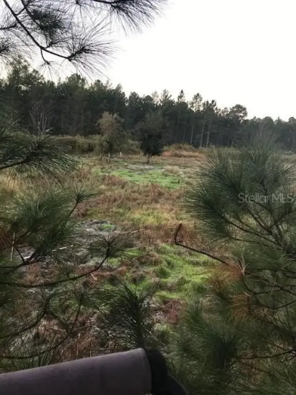 Picture 29