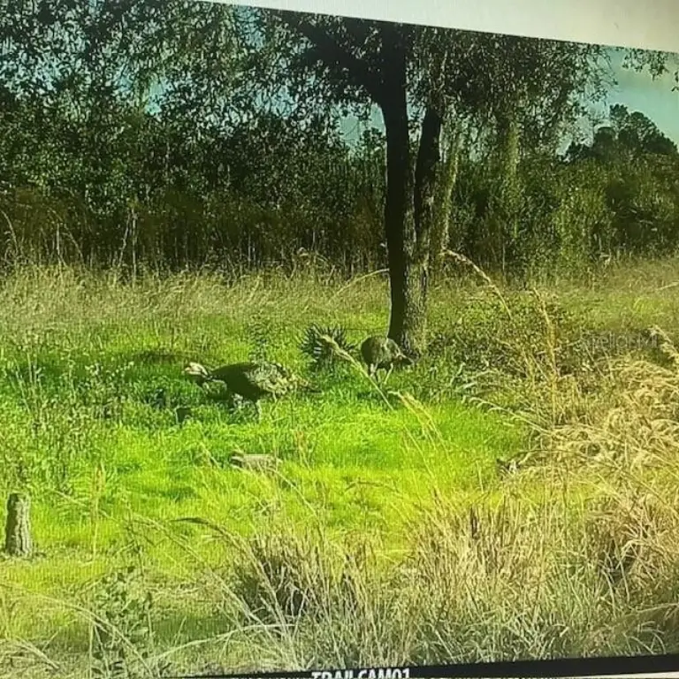 Picture 26