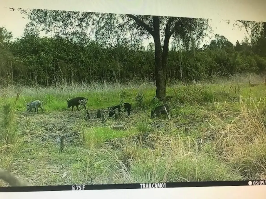 Picture 25