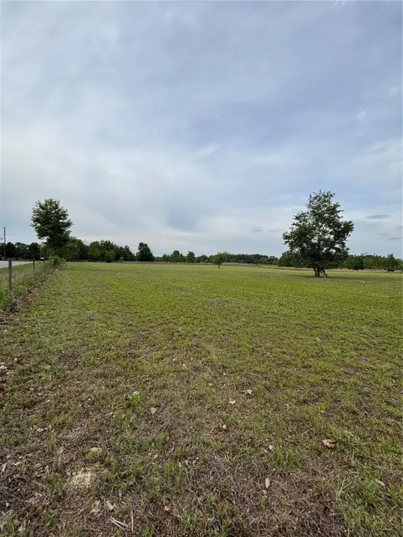 Picture 3