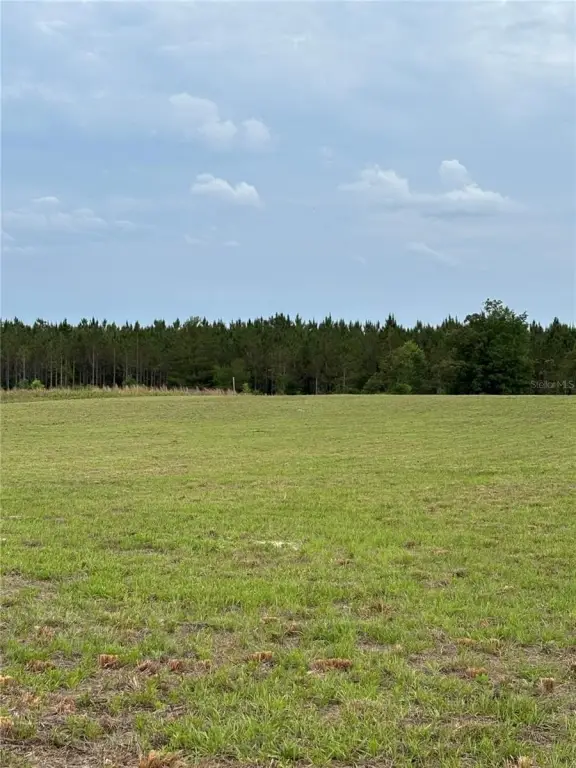 Picture 7